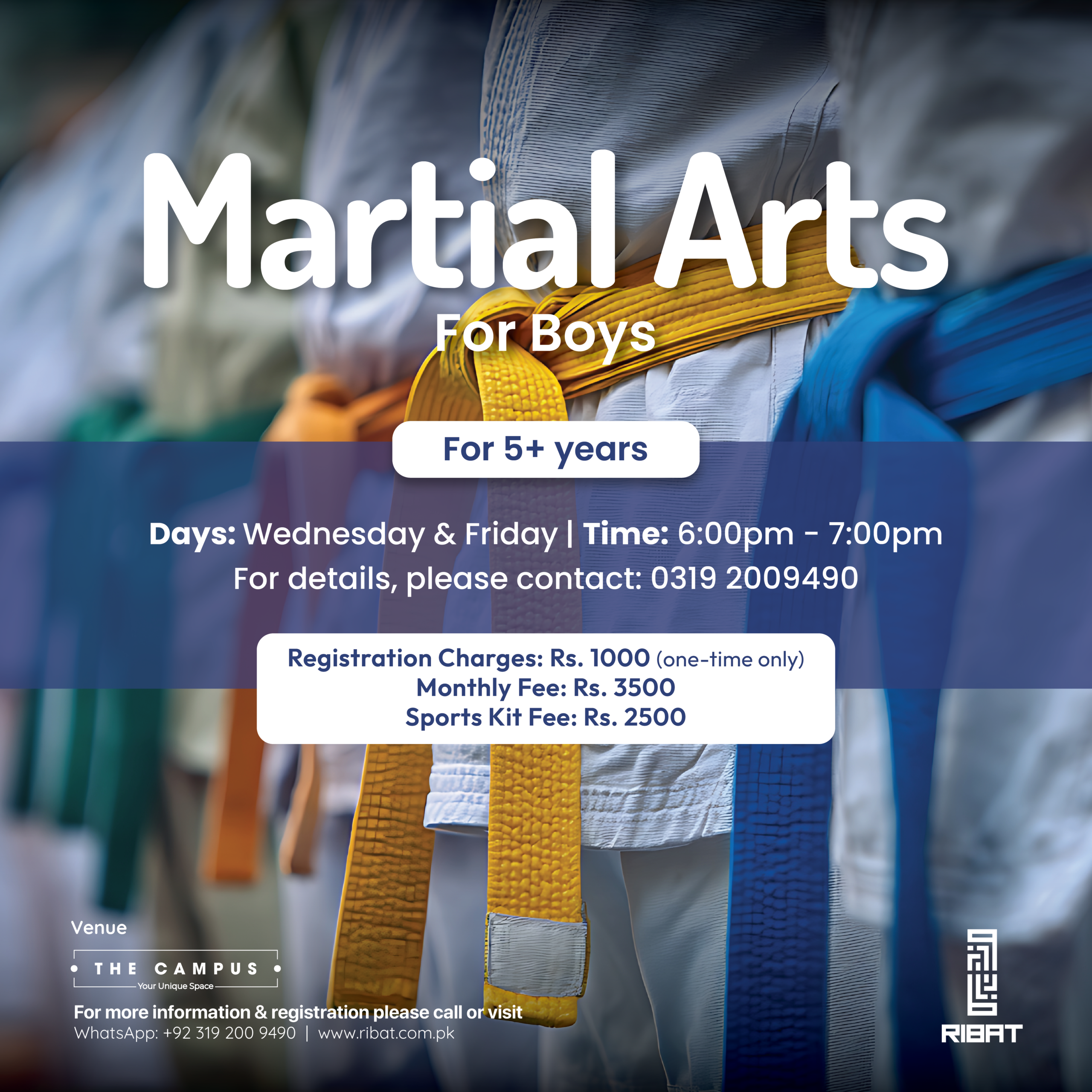 Martial Arts For Boys Poster